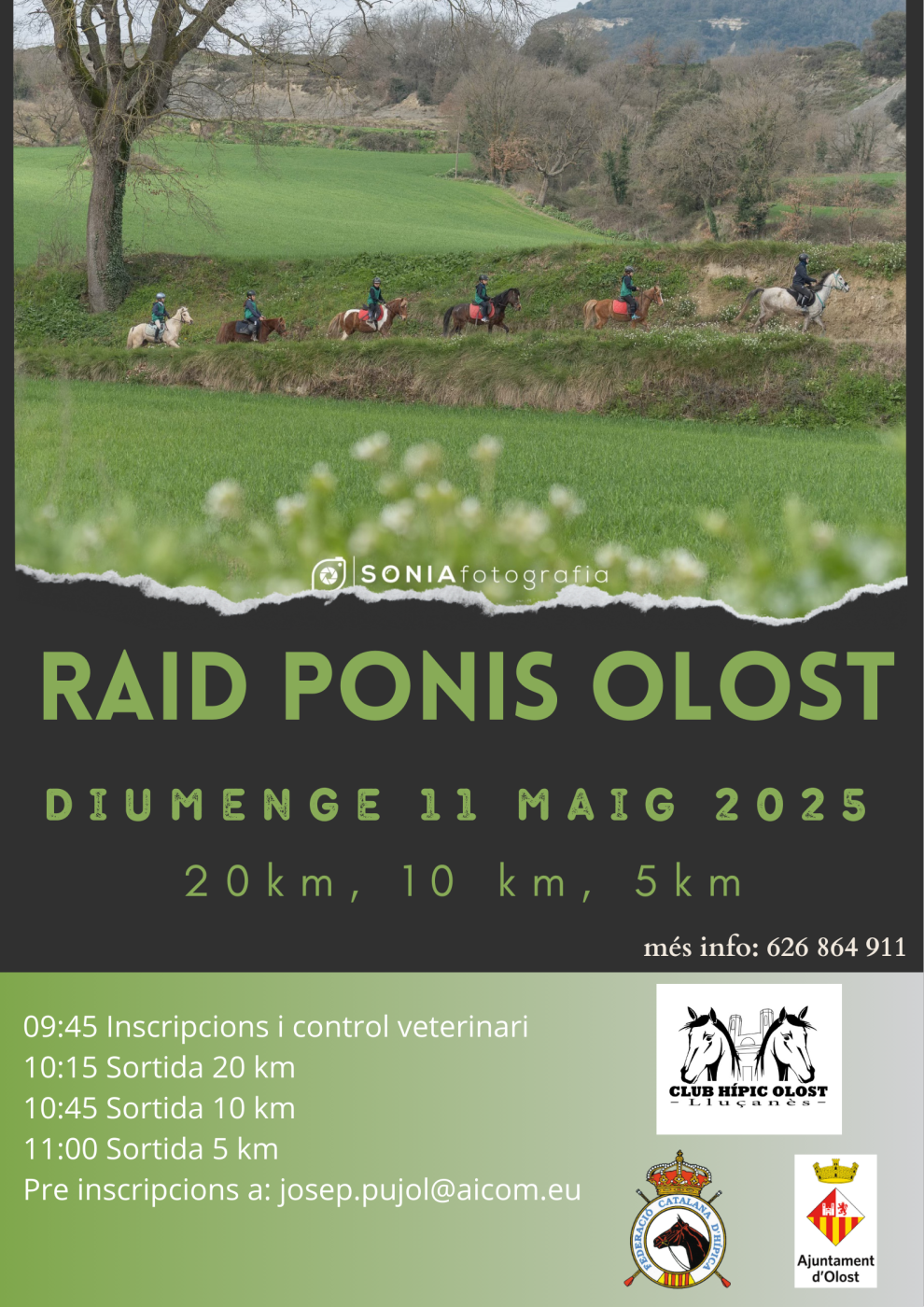 Raid de Ponis a Olost